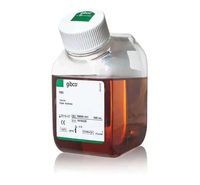 Fetal Bovine Serum, qualified, Australia