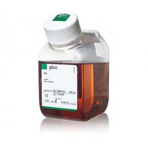Fetal Bovine Serum, qualified, Australia