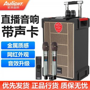 爱浪(AvliGHT)DX20-10广场舞音响户外舞台表演出带声卡无线蓝牙音箱k歌重低音唱歌跳舞网红直播