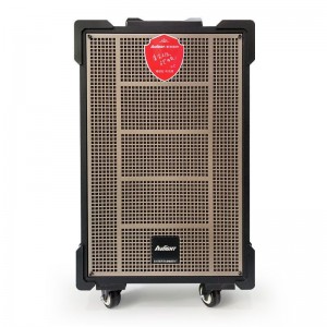 爱浪(AvliGHT)DX20-10广场舞音响户外舞台表演出带声卡无线蓝牙音箱k歌重低音唱歌跳舞网红直播