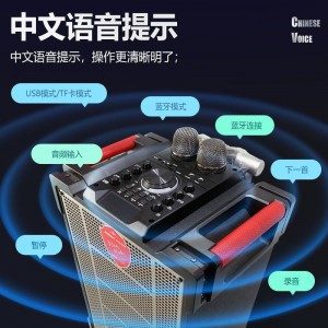 爱浪(AvliGHT)DX20-10广场舞音响户外舞台表演出带声卡无线蓝牙音箱k歌重低音唱歌跳舞网红直播