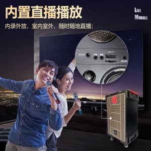 爱浪(AvliGHT)DX20-10广场舞音响户外舞台表演出带声卡无线蓝牙音箱k歌重低音唱歌跳舞网红直播