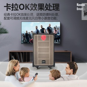 爱浪(AvliGHT)DX20-10广场舞音响户外舞台表演出带声卡无线蓝牙音箱k歌重低音唱歌跳舞网红直播