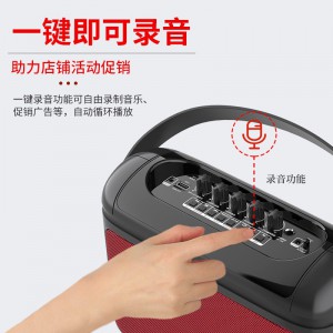 爱浪(Avlight) G2广场舞户外手提音响便携式移动无线蓝牙K歌音箱带麦克风一体机