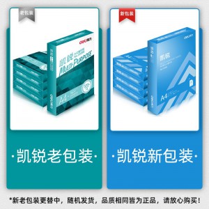 得力(deli)3551凯锐70gA4复印纸 a4打印纸500张包5包1箱(整箱2500张) 双面打印白纸