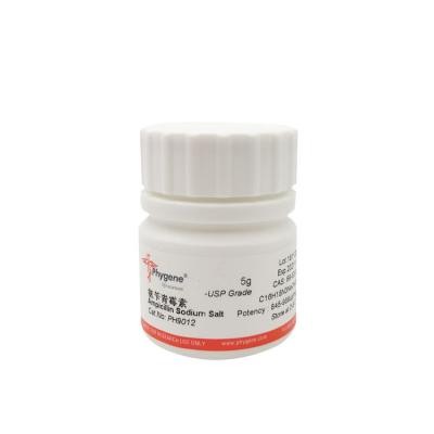 PH9012 | 氨苄青霉素钠盐 / Ampicillin Sodium Salt, USP Grade