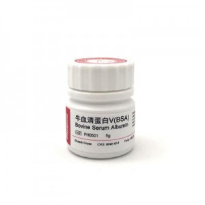 PH0501 | 牛血清蛋白V（Bovine Serum Albumin BSA）