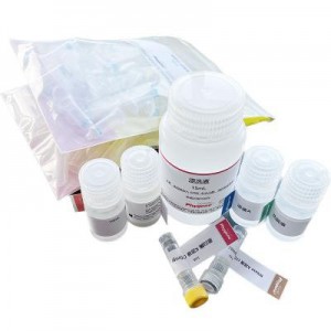 PH0216 | 真菌基因组DNA提取试剂盒 Fungal DNA Kit