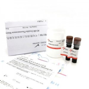PH1726 | 吖啶橙/溴化乙锭双荧光染色试剂盒 / AO-EB Double Fluorescence Staining Kit