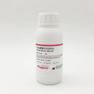 PH0501 | 牛血清蛋白V（Bovine Serum Albumin BSA）