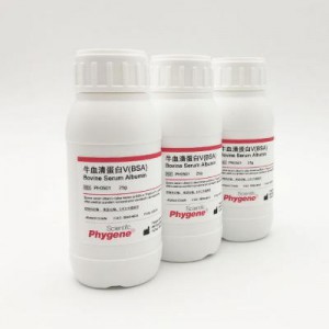 PH0501 | 牛血清蛋白V（Bovine Serum Albumin BSA）