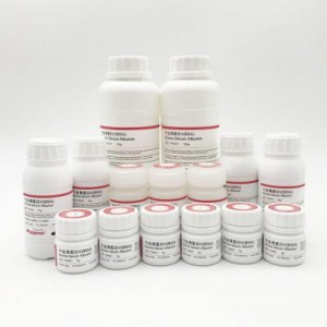 PH0501 | 牛血清蛋白V（Bovine Serum Albumin BSA）