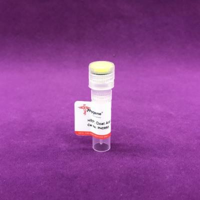 PH0650 | HRP, Goat Anti-Rabbit IgG (H+L) 辣根酶标记,山羊抗兔二抗