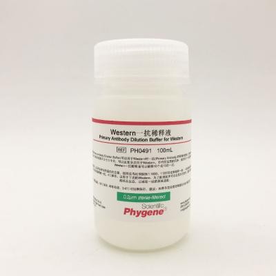 PH0491 | Western一抗稀释液 Primary Antibody Dilution Buffer for Western
