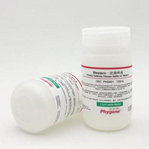 PH0491 | Western一抗稀释液 Primary Antibody Dilution Buffer for Western
