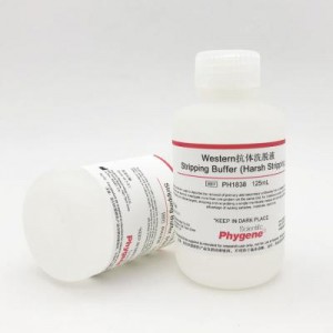 PH1838 | Western抗体洗脱液 洗膜液 膜再生液 Stripping Buffer (Harsh Stripping)