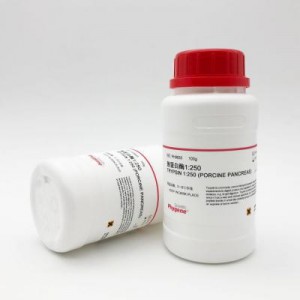 PH9033 | 胰蛋白酶1:250 / Trypsin 1:250 (Porcine Pancreas) 250.N.F.U/mg