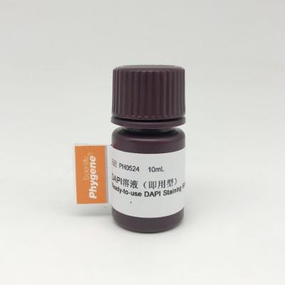 PH0524 | DAPI溶液（即用型）Ready-to-use DAPI Staining Solution