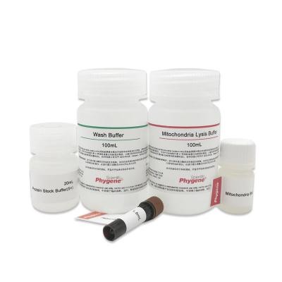 PH9171 | 细胞线粒体分离试剂盒 / Cell Mitochondria Isolation Kit