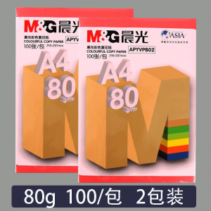 晨光(M&G)APYVPB0239复印纸2包 A4/80g/100张打印纸