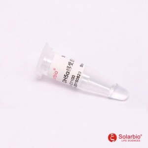 BL21(DE3)pLysS感受态细胞