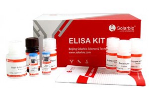Human IgG1 ELISA KIT