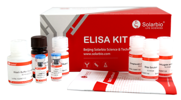 Mouse TNFR2/TNFRSF1B ELISA KIT