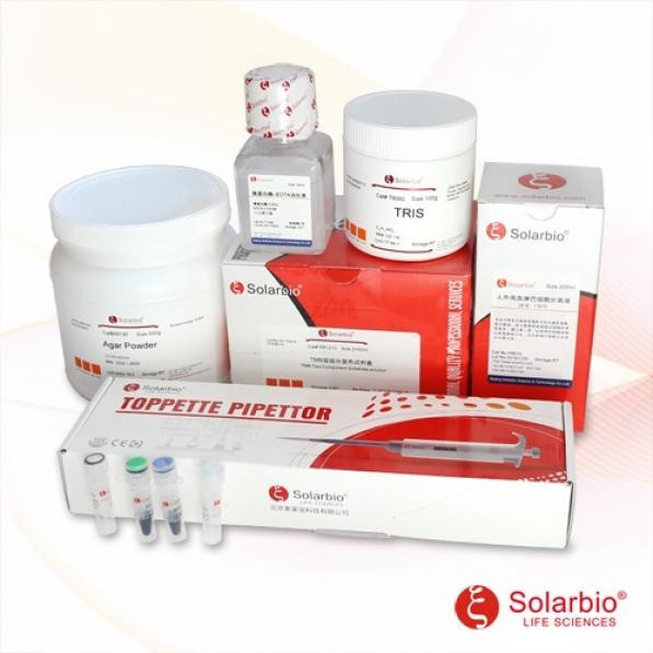 pLV3-CMV-Sirt1(rat)-3×FLAG-CopGFP-Puro