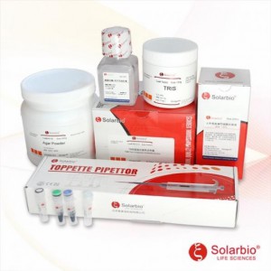 pT7-6×His-CEACAM1(human)