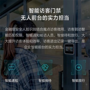 魔点 D2智能人脸云考勤门禁机钉钉动态人脸识别非指纹玻璃门禁系统办公室刷脸测温门禁锁签到打卡机一体机 D2主机（不含门禁配件）