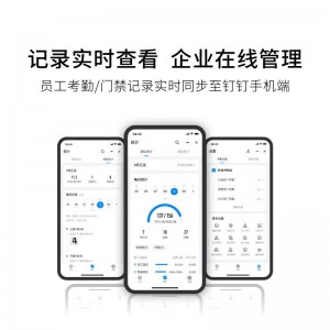 魔点 Y2钉钉人脸识别考勤打卡机门禁主机非指纹办公室门禁锁系统一体机办公设备上班签到机多地多店云管理 魔点Y2标配【不含门禁配件】