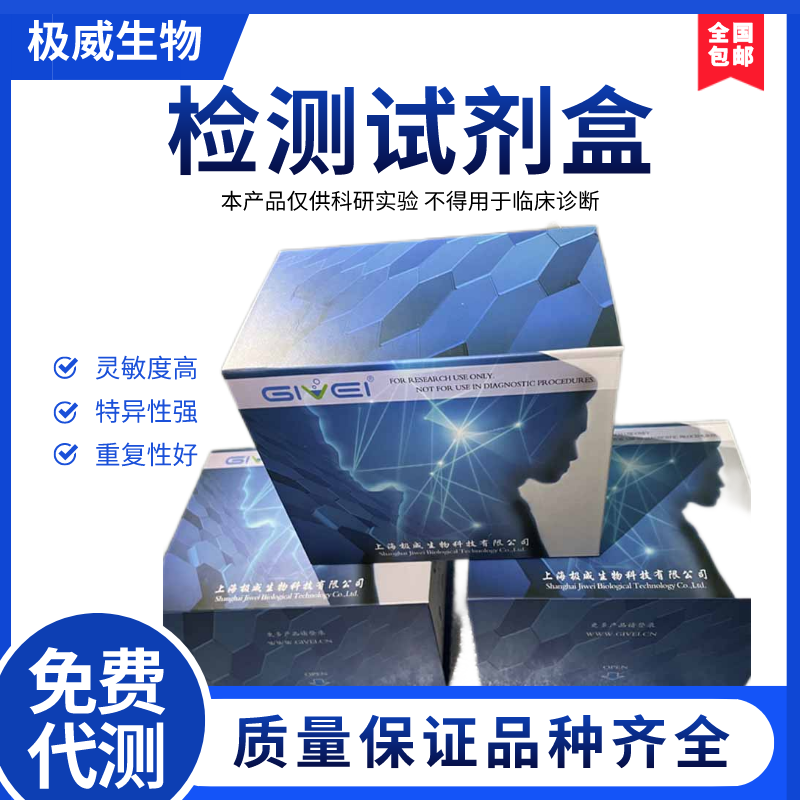 2-氯-5,6,7,8-四氢吡啶并[4,3-d]嘧啶盐酸盐