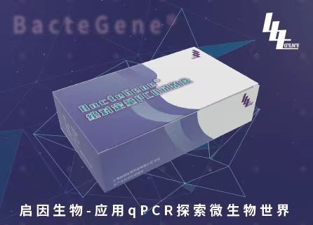 baeR-绝对定量PCR试剂盒