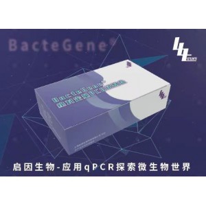 baeR-绝对定量PCR试剂盒