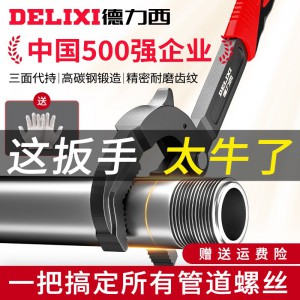 德力西万能扳手活动开口扳手万用管钳多功能快速扳子万能扳手工具 万能扳手大号单只