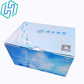 人极长链酰基辅酶A脱氢酶（VLCAD）elisa试剂盒