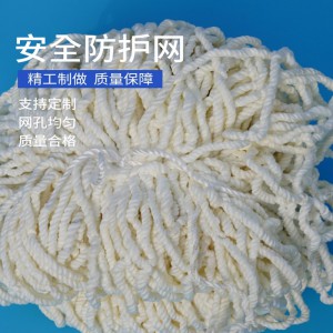 建筑水平安全兜网防护网坠落兜底脚手架闪电客工地工程防坠网尼龙外架网 D14细_10cm孔2.5X6米