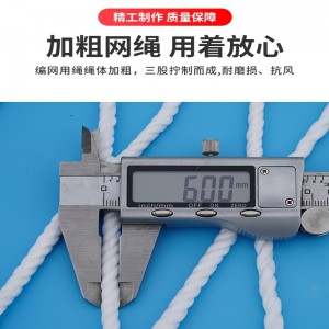 建筑水平安全兜网防护网坠落兜底脚手架闪电客工地工程防坠网尼龙外架网 D14细_10cm孔2.5X6米