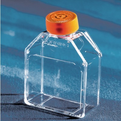 带有通风孔盖的Corning®25cm²矩形斜颈细胞培养瓶/25cm2带透气盖培养瓶直角斜颈 20个/包，10包/箱