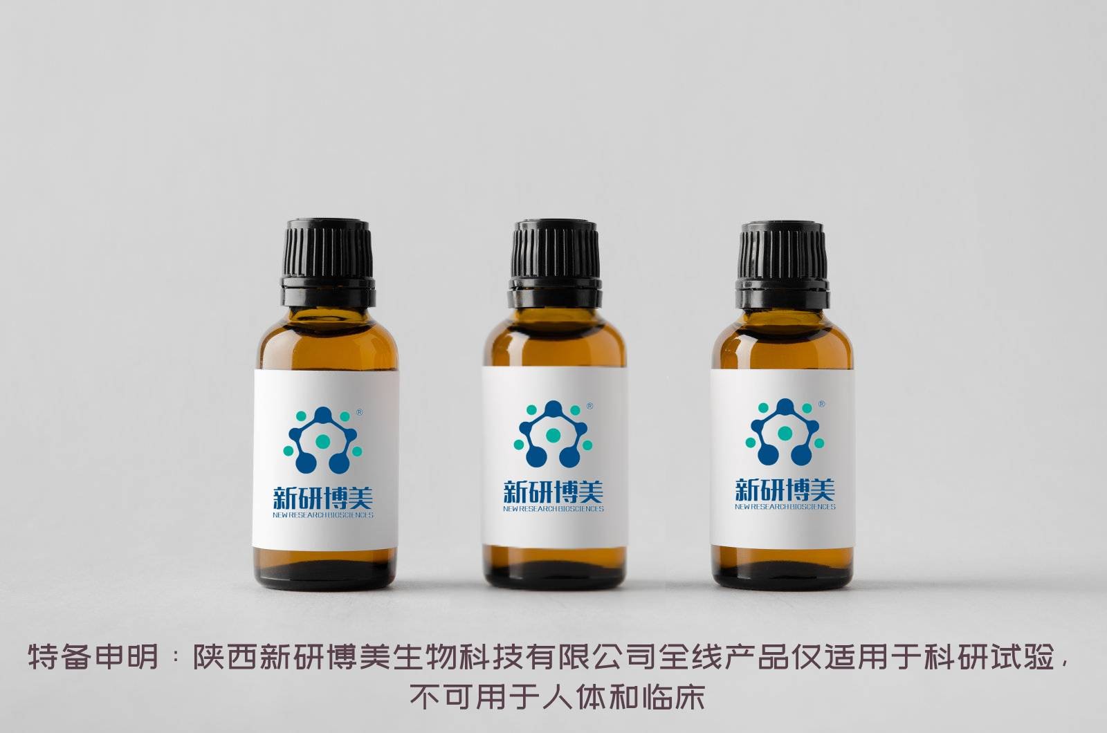 Piperidine, 1-nitroso-