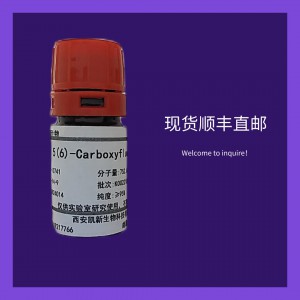 Morpholine, hydrochloride (1:1)