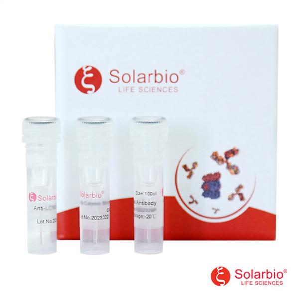 Human BAFF ELISA KIT