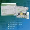 mCerry标签抗体兔多抗