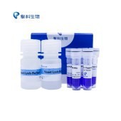 2×T5 Super PCR Mix（Colony）
